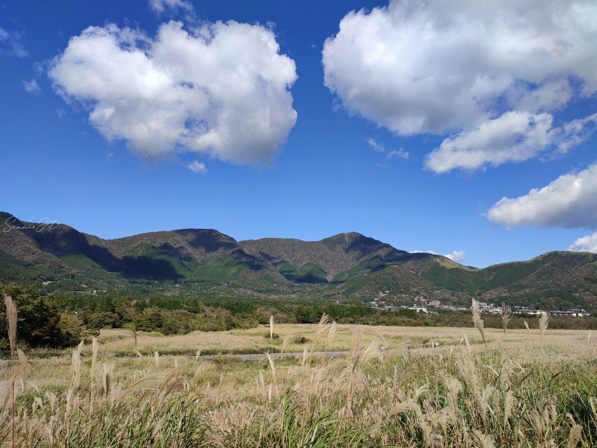 ススキ草原と山、空と雲が広がる仙石原の景色