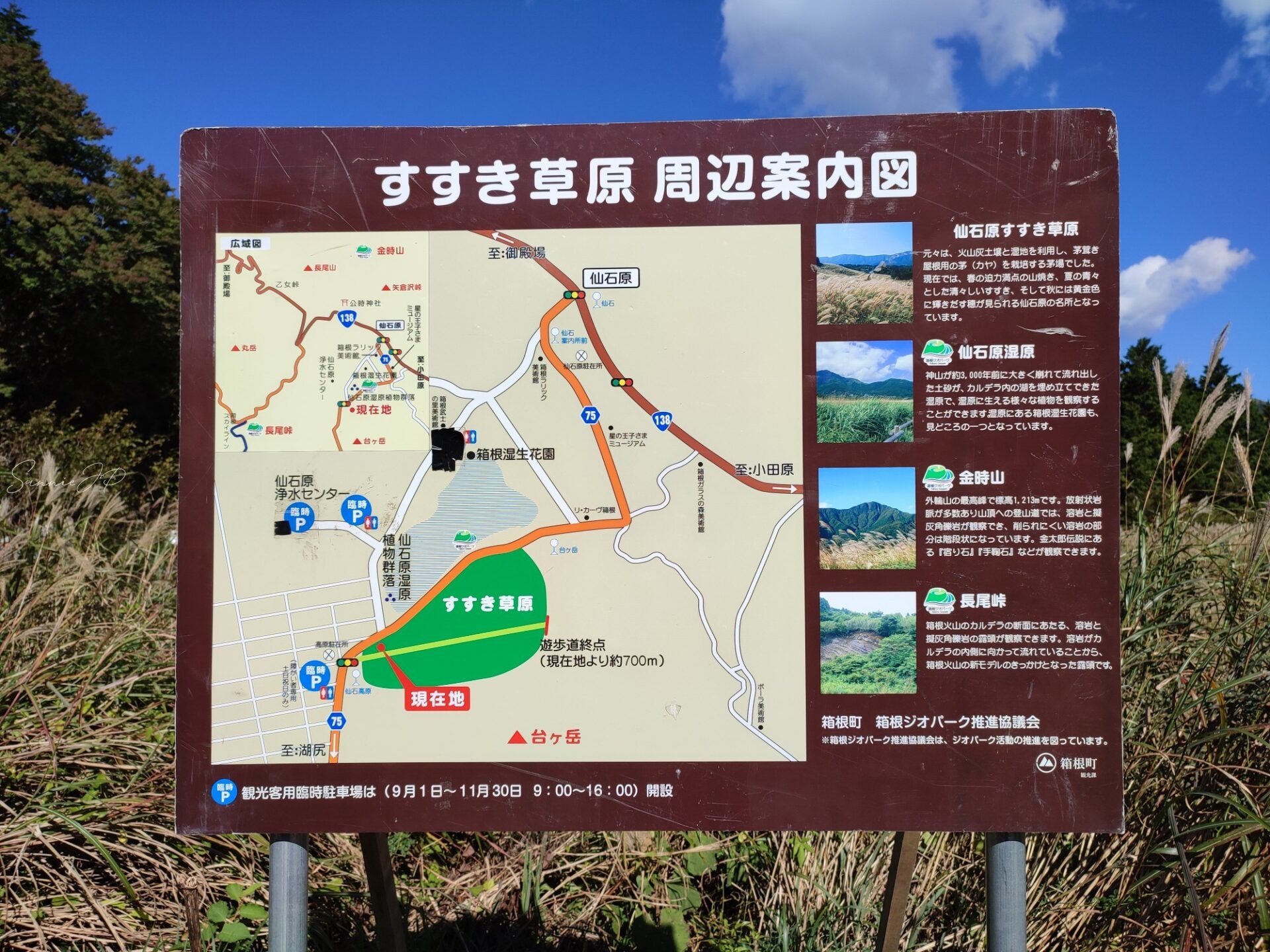 仙石原すすき草原へ続く道