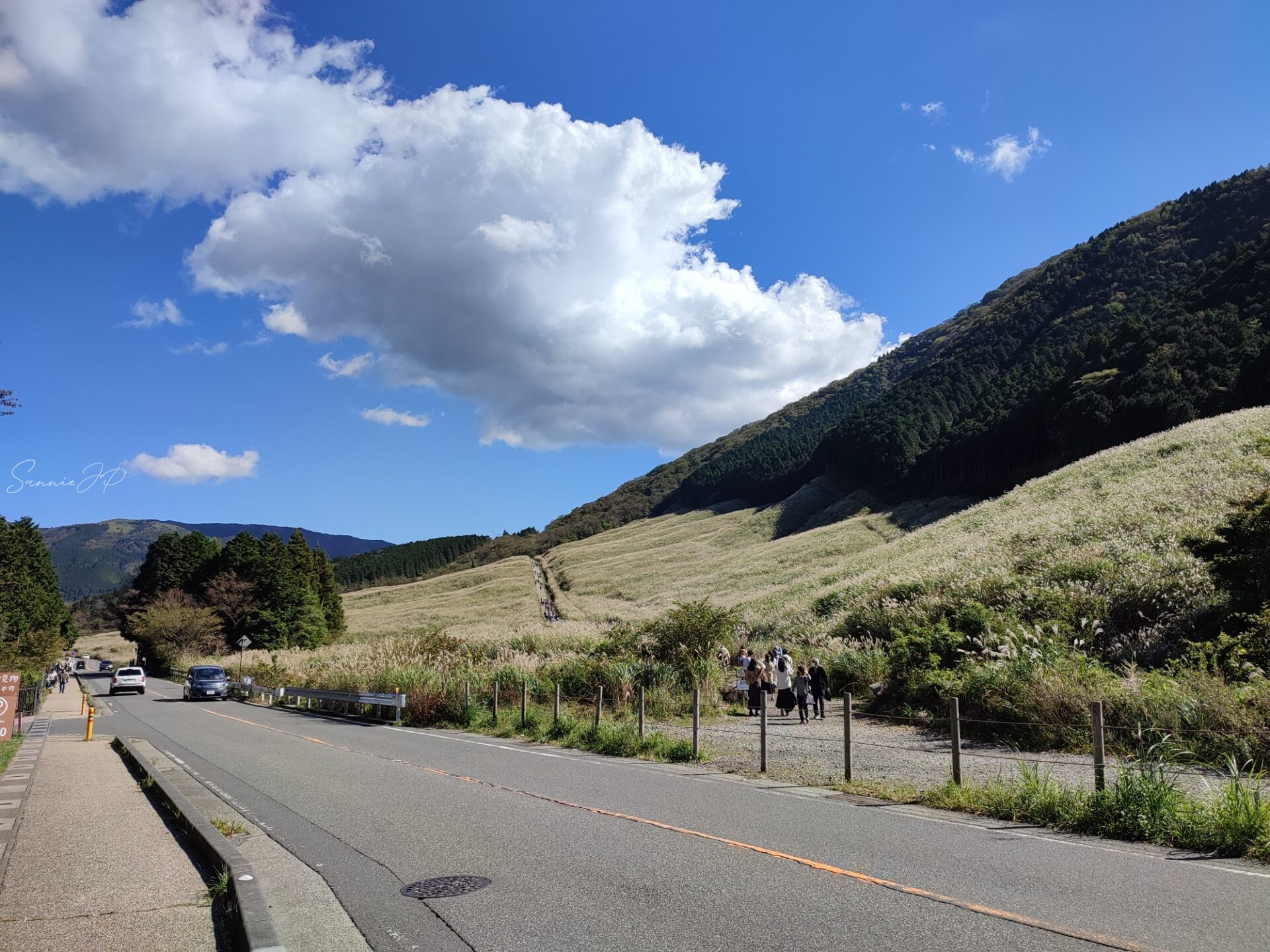 仙石原すすき草原へ向かう道路沿いの景色