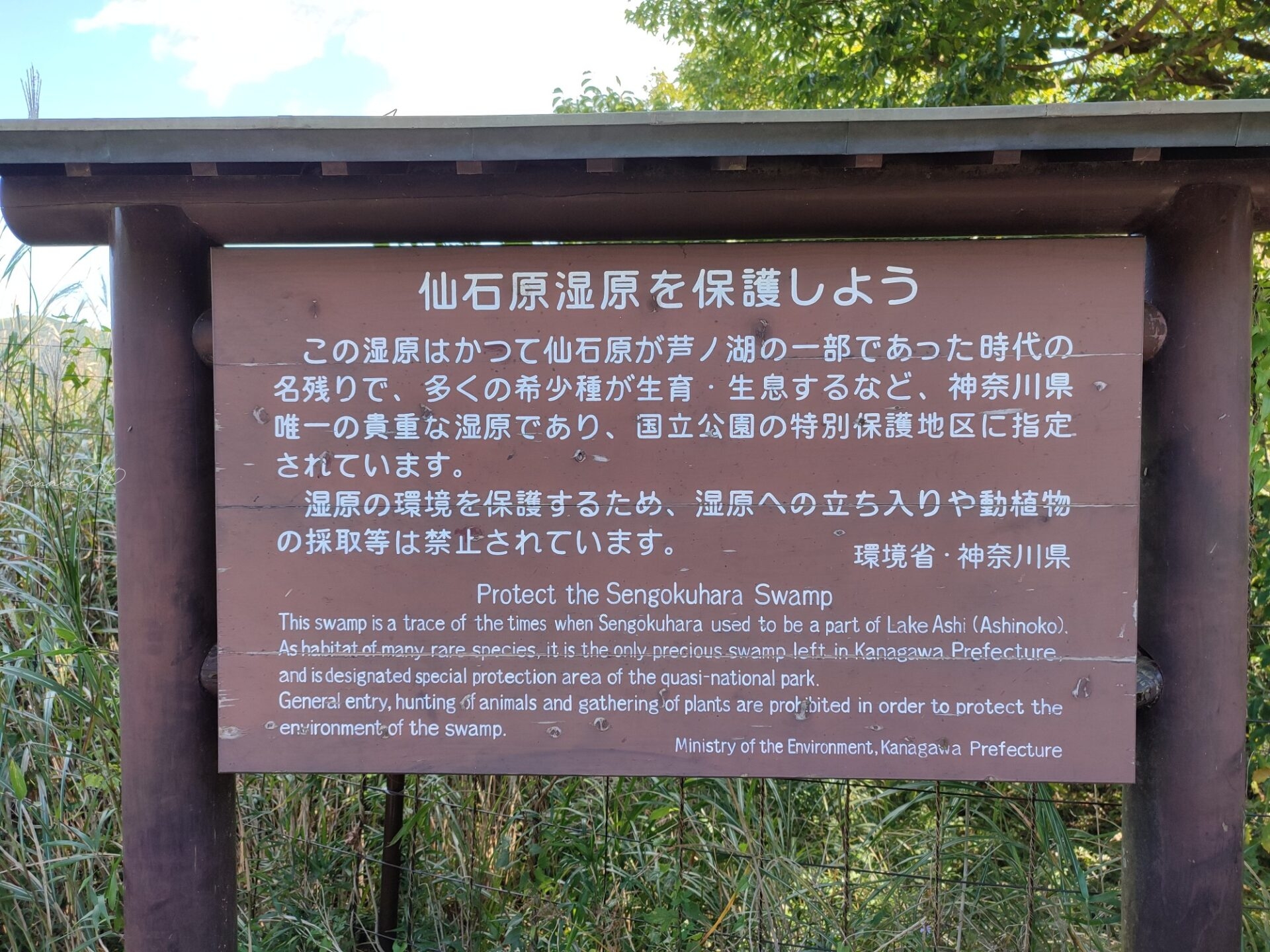仙石原すすき草原へ向かう途中にあった案内看板