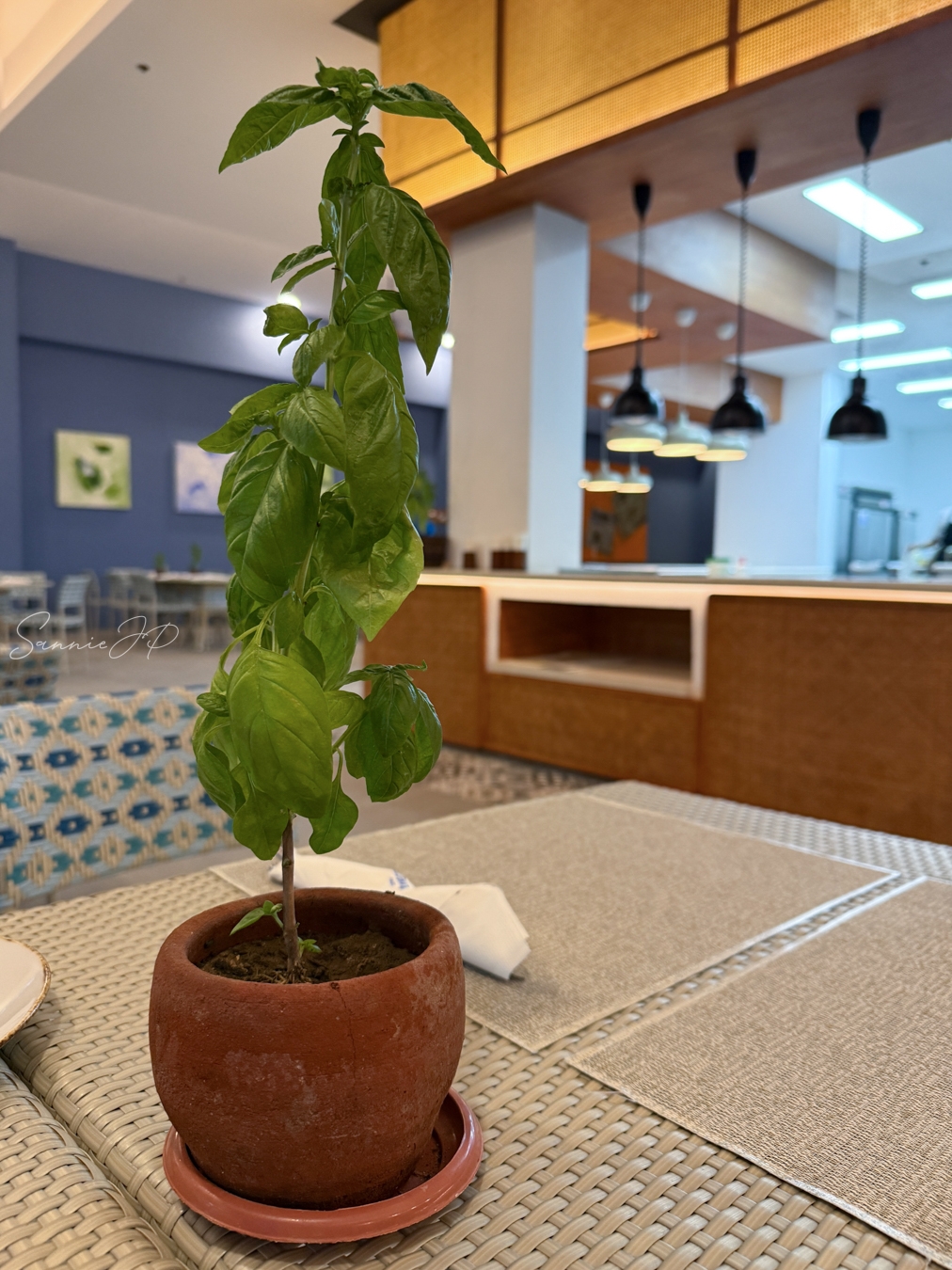 フィリピン セブ島 マクタン島 Bluewater Maribago Pizzeria Delfino's テーブル席