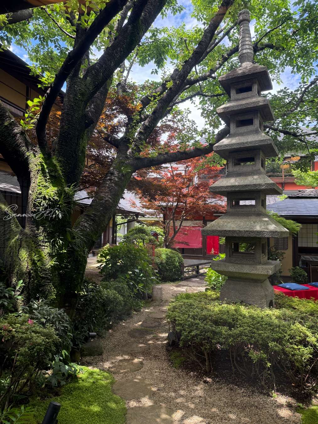 個室の窓から見える中庭の木々と、庭園に広がる緑の景色
