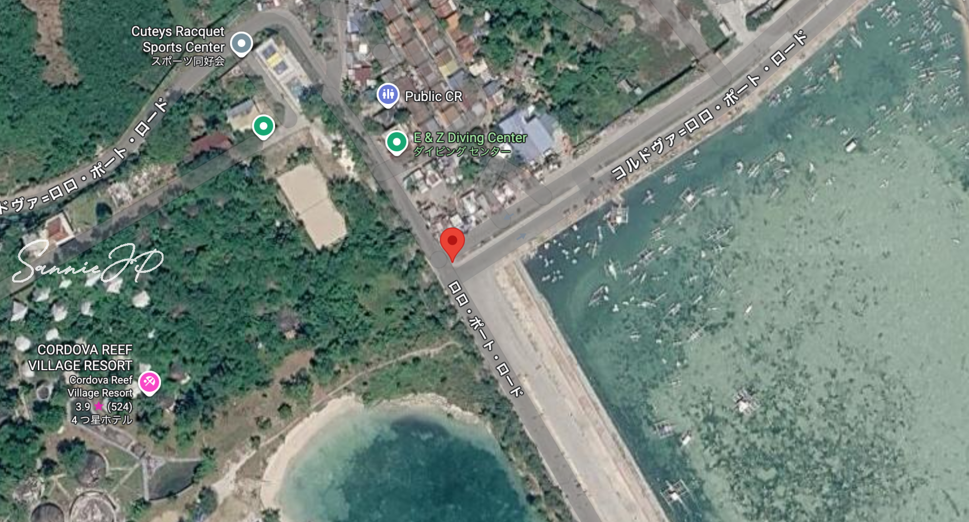 Googleマップの航空写真で示したdroppoint