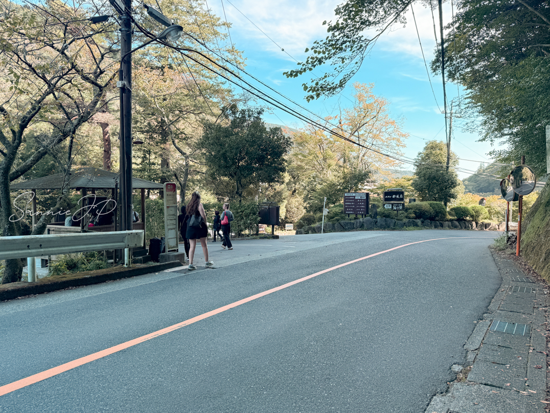 道路から施設へ入る分岐。渓流沿いの静けさがふっと近づく