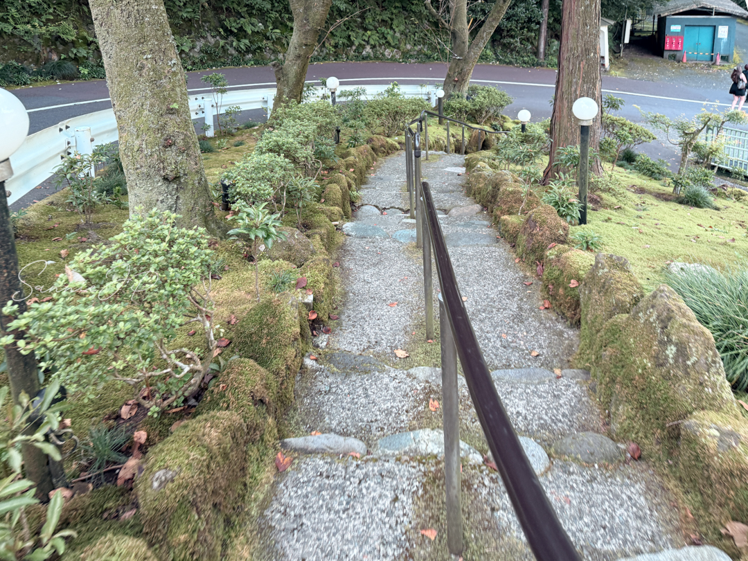 苔むす階段をそろりと下る。雨の日は足元注意の山道気分