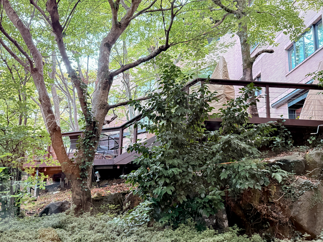 窓越しに見えるテラスエリアのアップ。箱根ゆとわで外の気配を感じられる客室ビュー