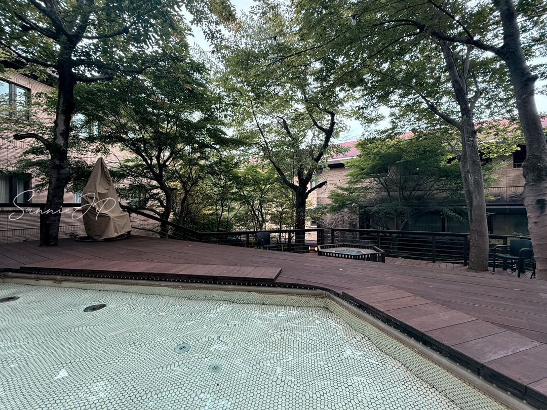 足湯からの景色｜湯に浸かりながら眺める癒しの箱根の風景