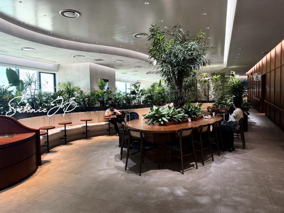 南国らしい植物が配置された那覇空港LOUNGE HANAのラウンジ内